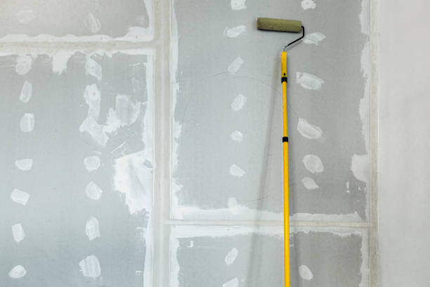 Best Environmental Consulting for Mold Prevention  in William Paterson University Of New Jersey, NJ