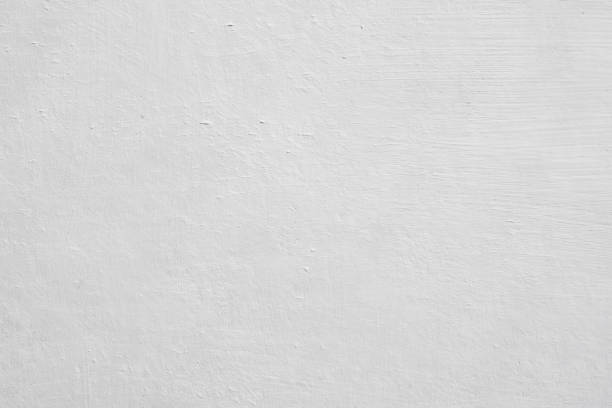 Mold Odor Removal Services in William Paterson University Of New Jersey, NJ