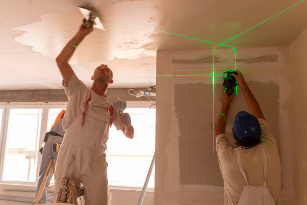 Trusted William Paterson University Of New Jersey, NJ Mold Removal Experts