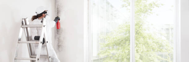 Mold Remediation for Rental Properties in William Paterson University Of New Jersey, NJ