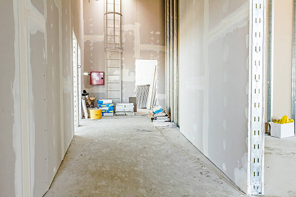 Best Black Mold Removal  in William Paterson University Of New Jersey, NJ
